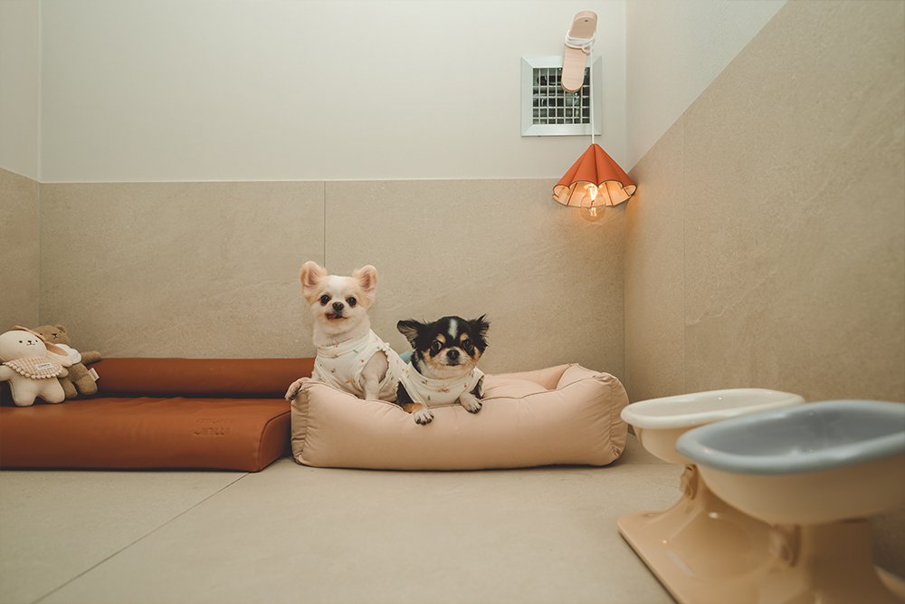 몽벨로 펫 케어 센터 9